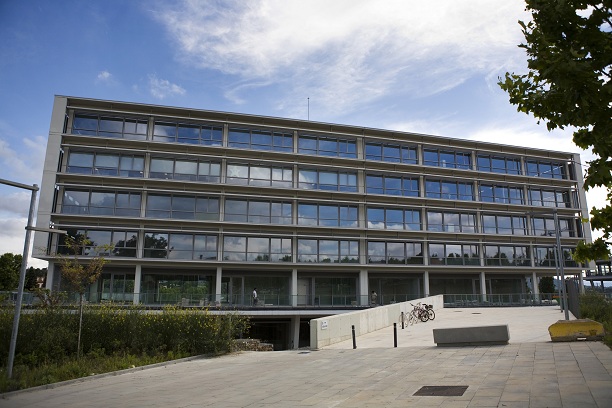 Betriebsbedingte Kündigung bei Ubisoft: Ihre Rechte beim Stellenabbau
